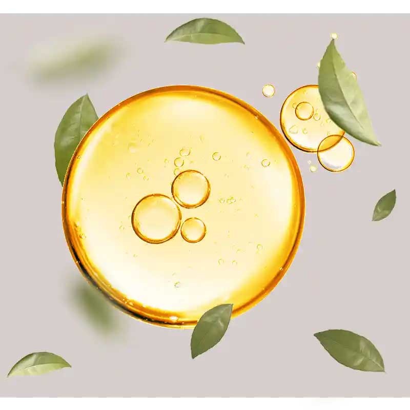 vitami-e Öl mit Blättern, repräsentiert die Hauptbestandteile der BB Cream Perfect Care, die Feuchtigkeit spenden und die Haut beruhigen.
