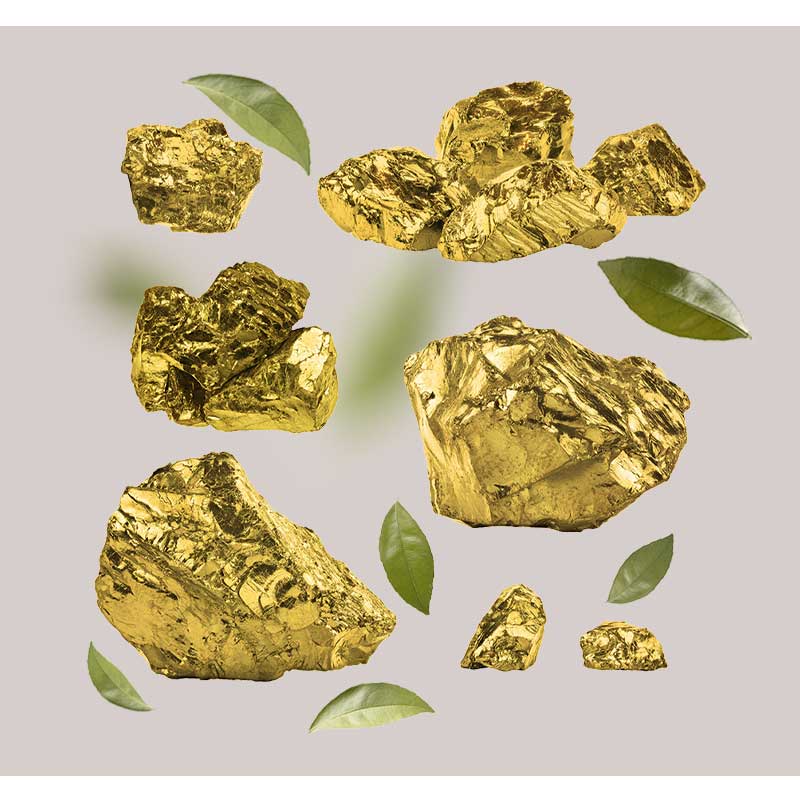 gold-01 gold-01