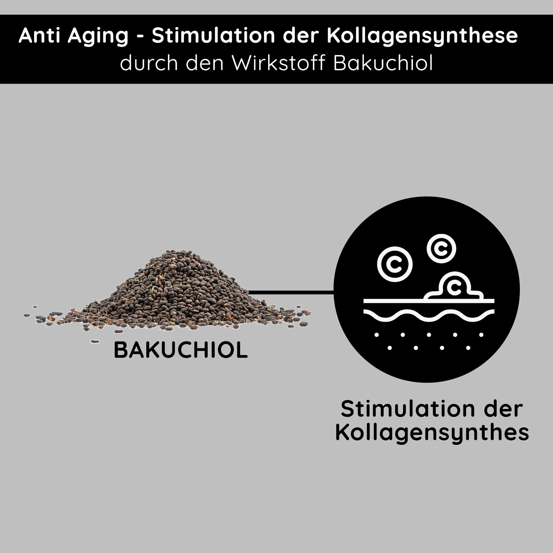 Сопротивление старению! Ночной крем с бакухиолом 50 мл Bakuchiol-Pulver für Anti-Aging, stimuliert die Kollagensynthese, mit Text „Anti Aging – Stimulation der Kollagensynthese durch den Wirkstoff Bakuchiol.“