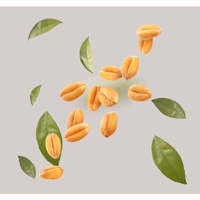 hydrolisierte-weizenstärke Weizenprotein und Sojaprotein in gelben Kapseln mit grünen Blättern, dargestellt auf einem neutralen Hintergrund, betont die feuchtigkeitsspendenden und regenerierenden Eigenschaften des Collagen Serums für reife und trockene Haut.