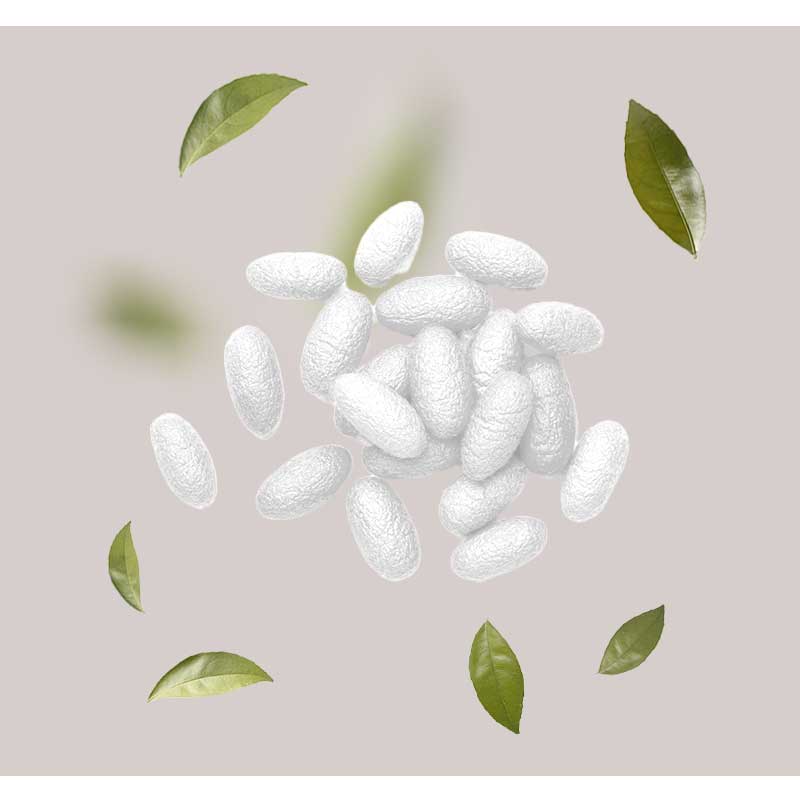 Seidenproteine Seidenproteine und grüne Teeblätter auf neutralem Hintergrund, symbolisieren die Hauptbestandteile der White Tea Silk Mask von RAU Cosmetics, die für empfindliche und gereizte Haut entwickelt wurde.