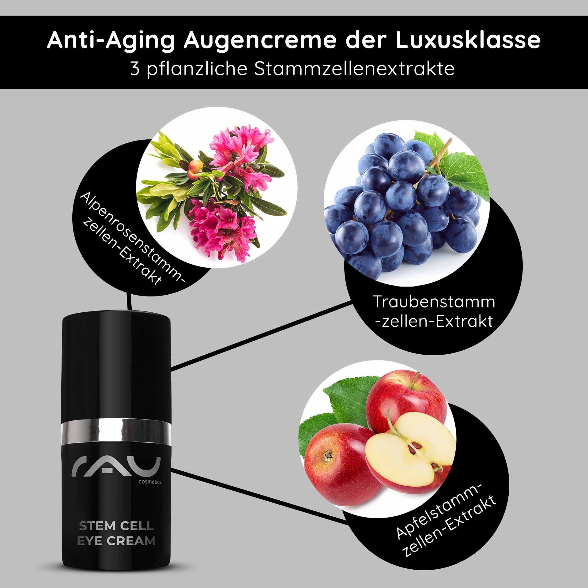 Крем для век со стволовыми клетками 15 мл Антивозрастной крем для век Anti-Aging Augencreme von RAU Cosmetics mit pflanzlichen Stammzellenextrakten aus Alpenrose, Traube und Apfel, präsentiert in eleganter Verpackung.